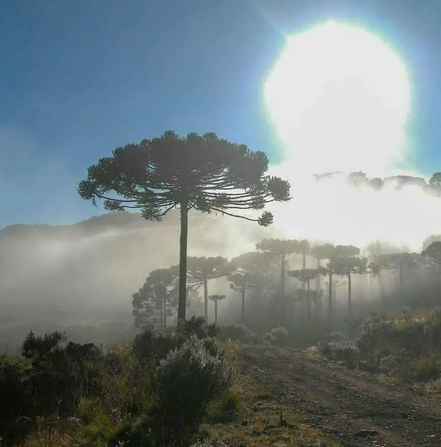Paraíso Dos Cânions Bom Jardim da Serra