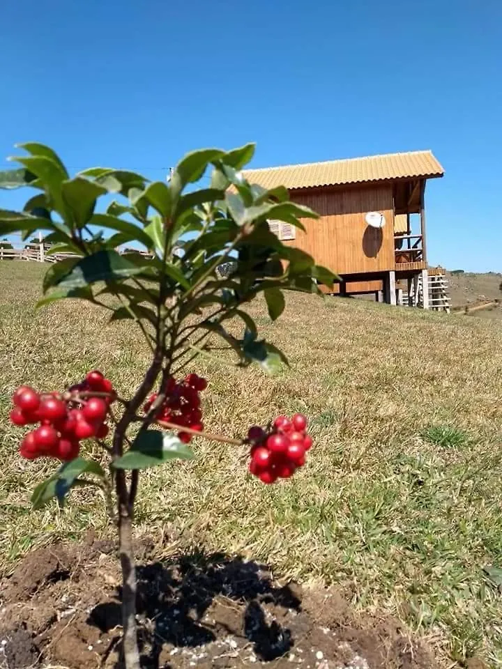 Alojamento de Turismo Selvagem Paraíso Dos Cânions Bom Jardim da Serra Brasil